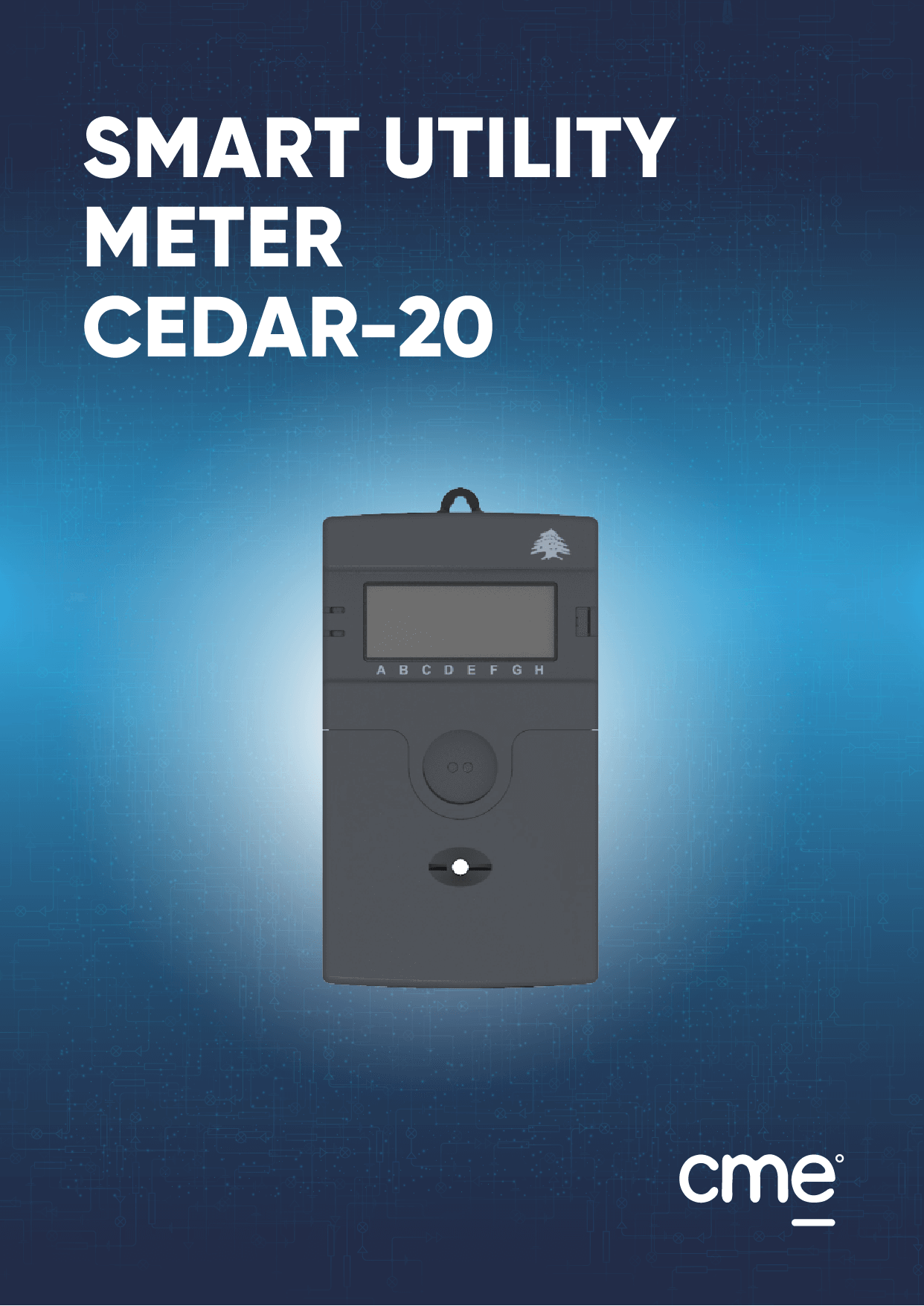 Smart utility Meter Cedar-20